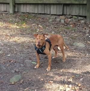 Meet your Posher, Nick